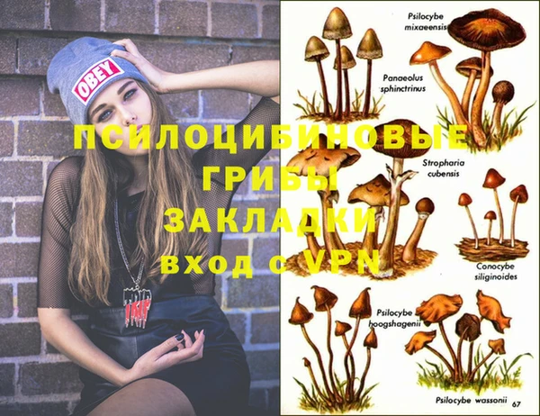 не бодяженный Арсеньев