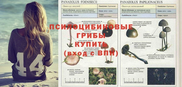 не бодяженный Арсеньев